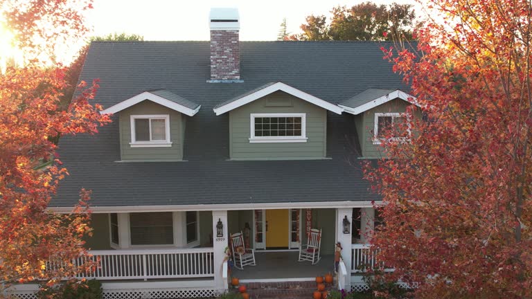 Best Roof Moss and Algae Removal  in Vineyard, UT