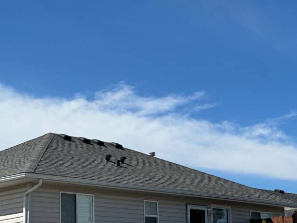 Best Gutter Installation and Repair  in Vineyard, UT